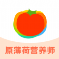 薄荷宝箱app下载
