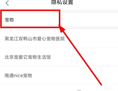 宠才宝