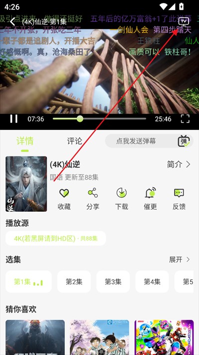 仓鼠4K图片6