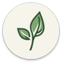 LeviLauncher启动器app手机版下载