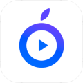 点盾云播放器app官方正版下载