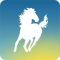 百马出行司机端app官方下载