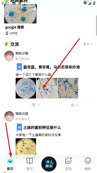慧眼识菌