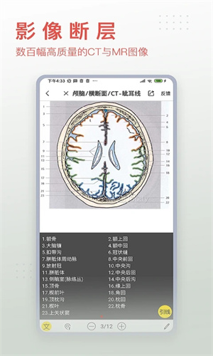3DBody解剖手机版下载 第3张图片
