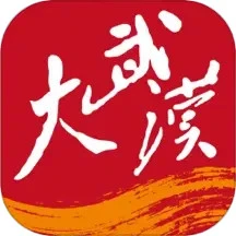 大武汉app官方下载