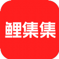 鲤集集软件下载