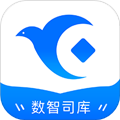 数智司库app下载安装