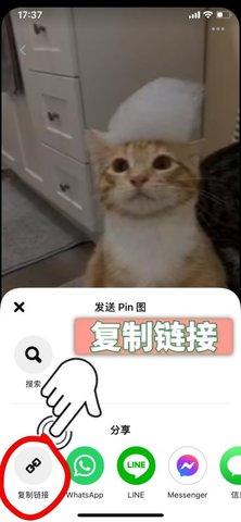 Pinterest