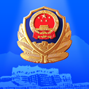 西藏公安政务服务app