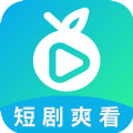 滨果大全软件下载