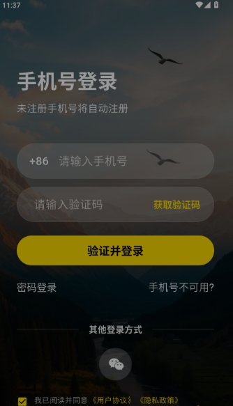 暖豆