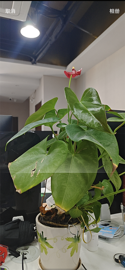 怎么扫描二维码截图3