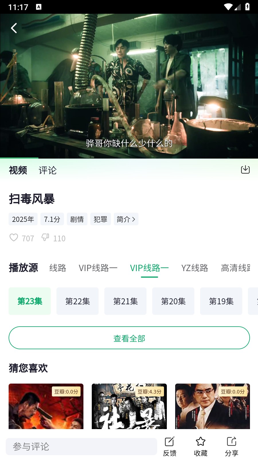 茶杯狐绿色版