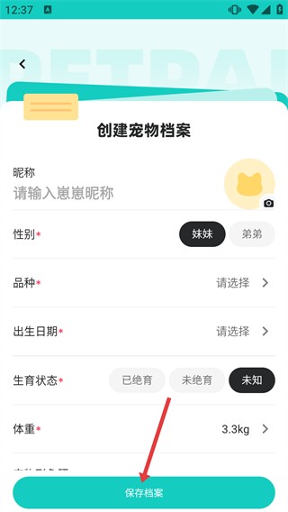 宠拍档