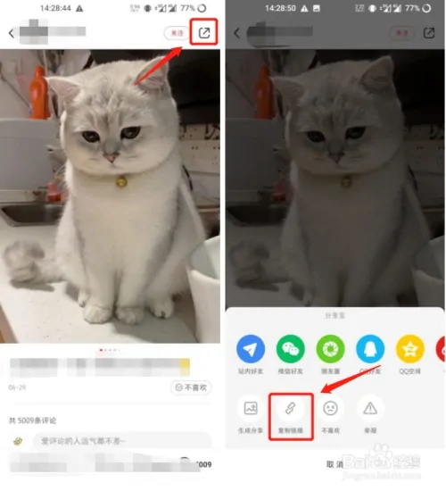 怎么保存无水印图片截图1