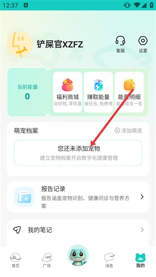 宠拍档