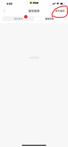 nice球鞋