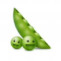 老豆荚app下载