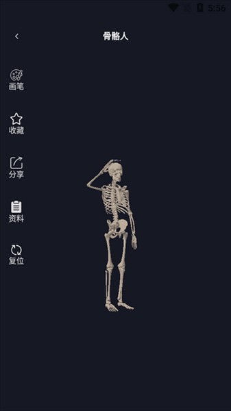 3d速写模型