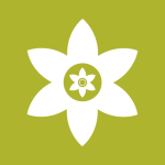 安装狮app官方版下载