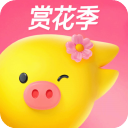 飞猪旅行官方版下载