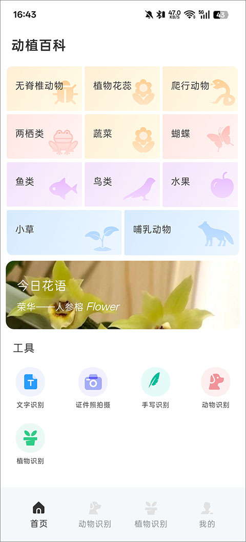动物百科