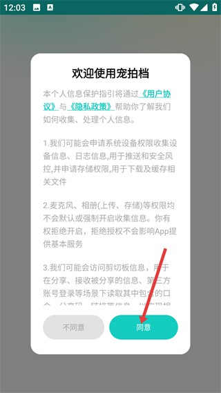 宠拍档