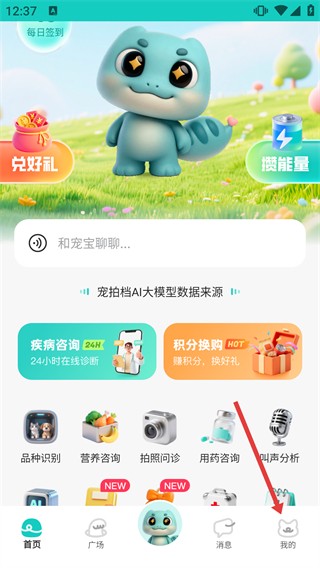 宠拍档