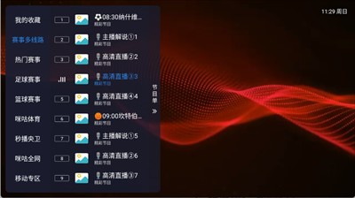 飞蓝电视tv版