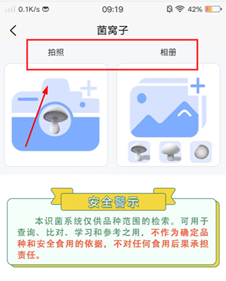 菌窝子