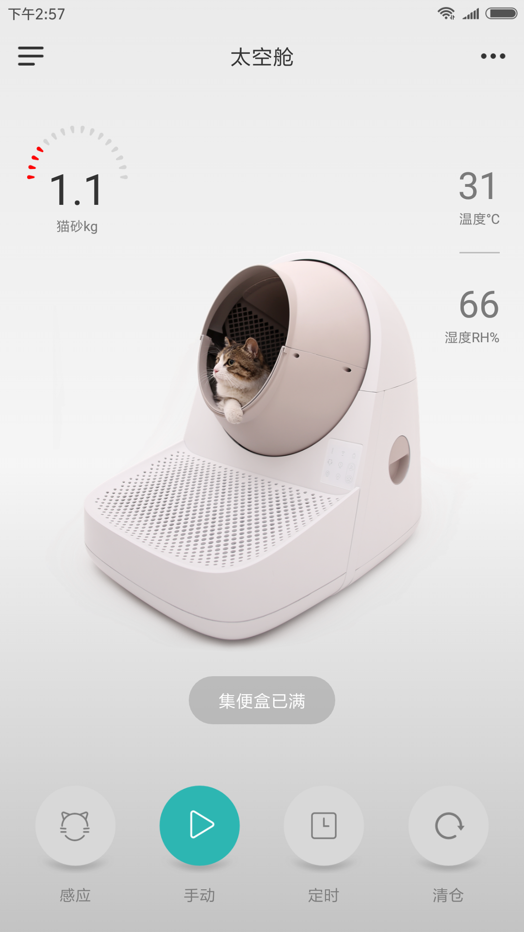 catlink