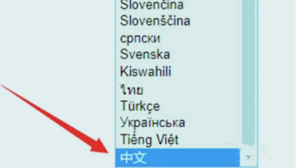 怎么设置中文截图3