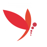 蜻蜓主播专属下载