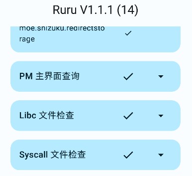 Ruru检测器