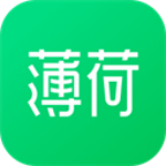 薄荷健康小程序