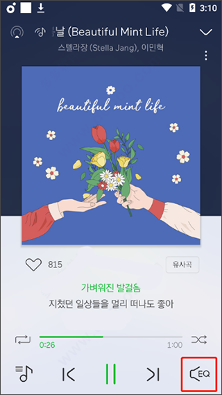 韩国melon
