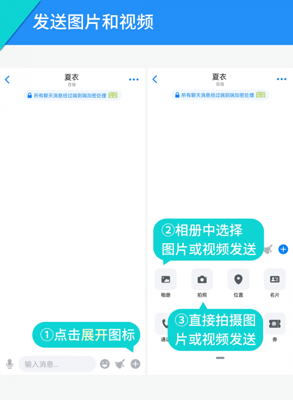 蝙蝠