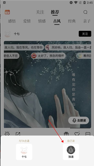 诗音