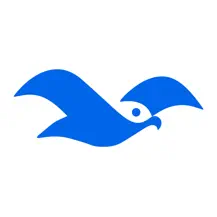 海鸥交友软件下载