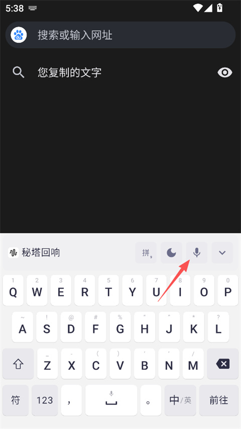 秘塔回响