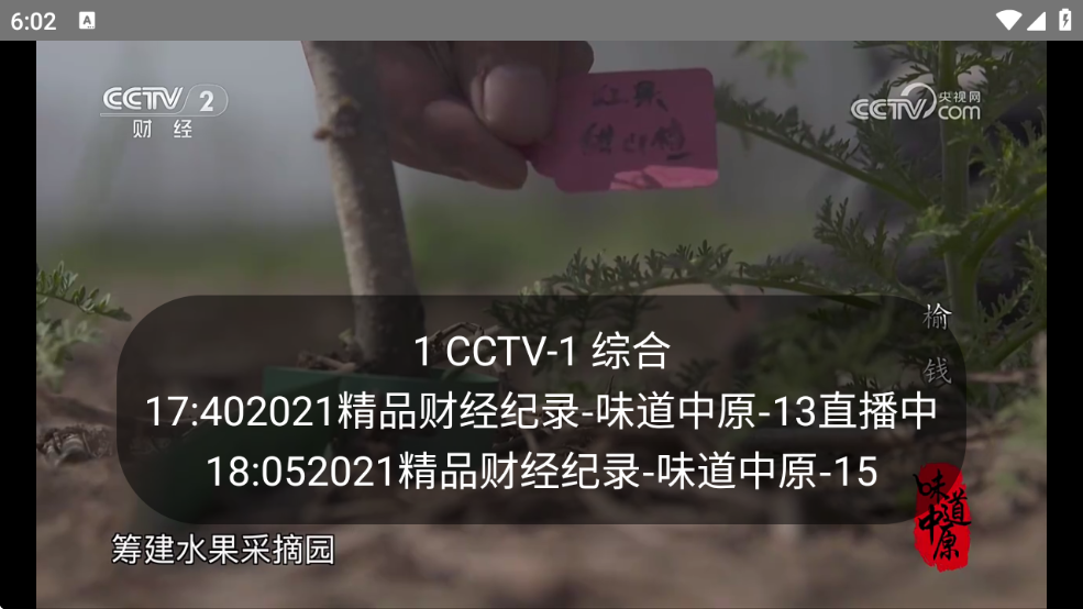 WEB电视TV版
