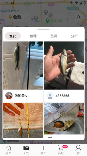 Catches