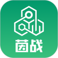 茵战团队版