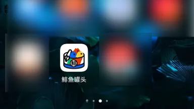 鲱鱼罐头