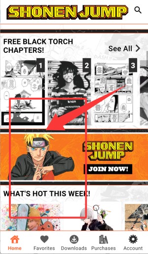 shonen jump