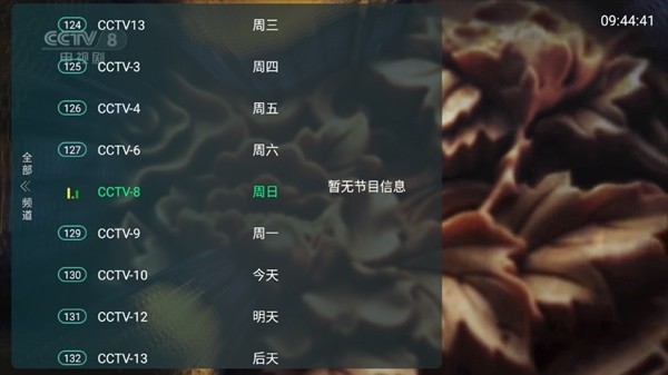 全球tv电视直播