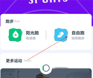 刷跑步数据截图2