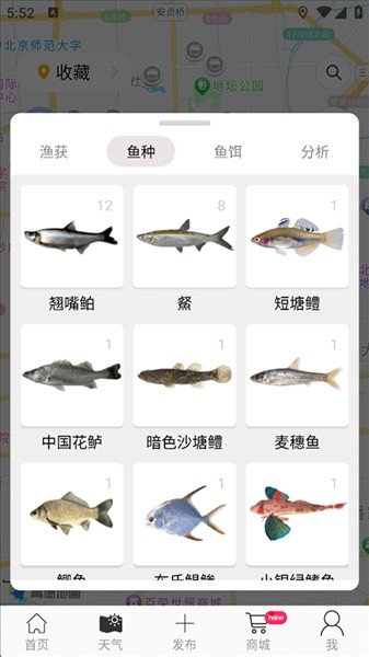 Catches