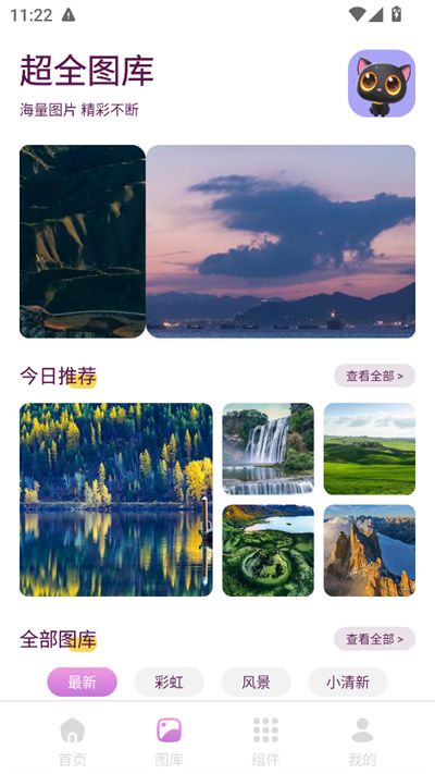 回音鸟