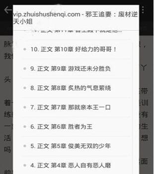 饭团追书